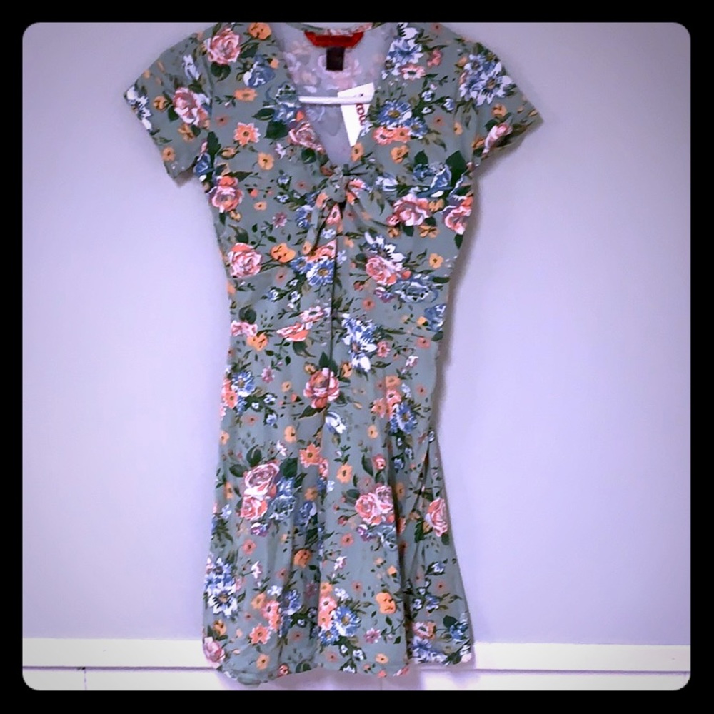 NWT Mint Green flower skater dress